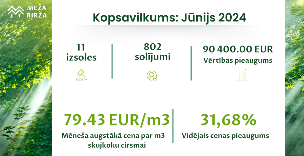 meža cirsmu cenas 2024 jūnijs