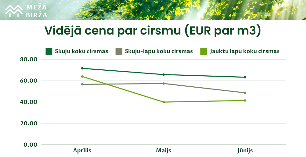 cirsmu cenas 2024