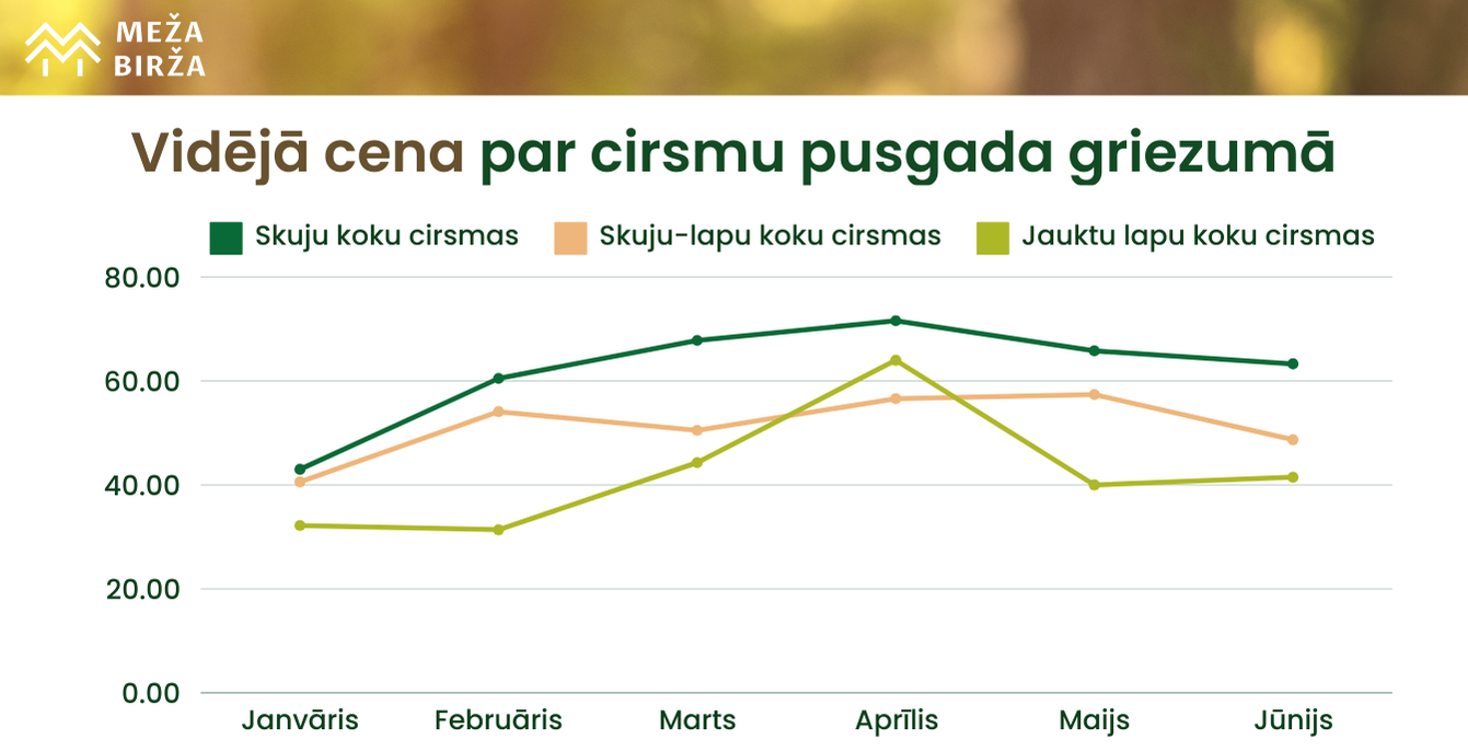 cirsmu cenu apskats