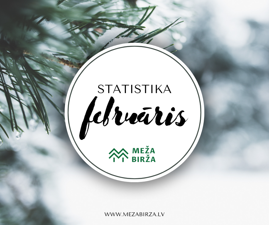 february-statistics-main