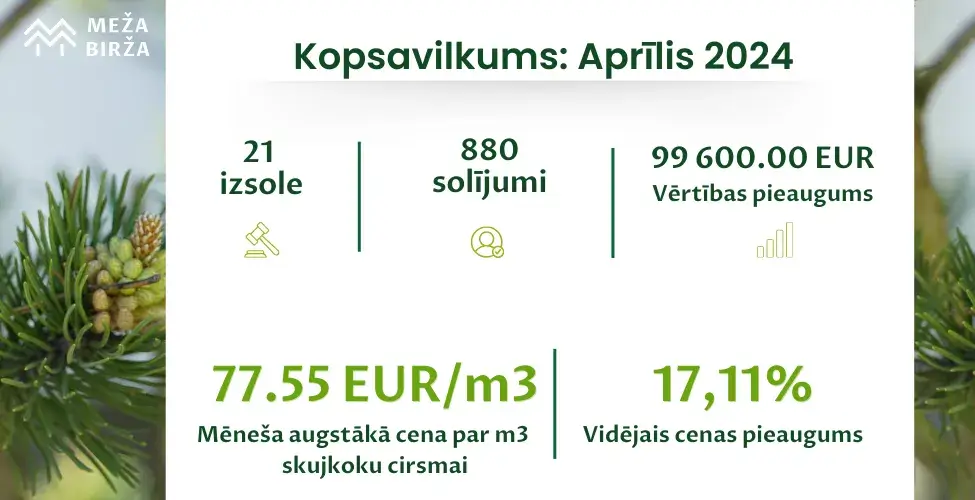 cirsmu cenas aprīlis 2024 meža birža