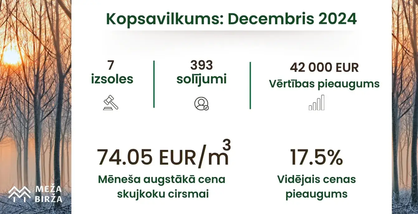 decembra cirsmu cenas 2024