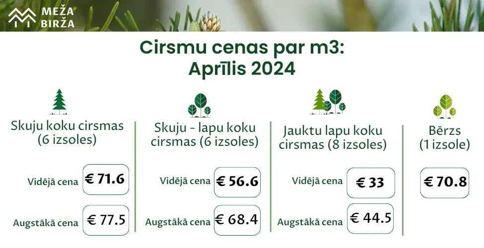 cirsmu cenas aprīlis 2024 meža birža