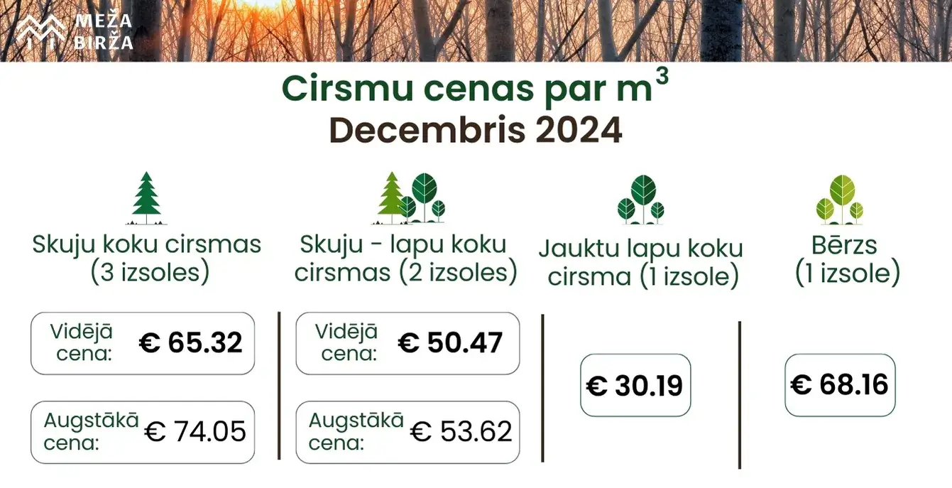 decembra cirsmu cenas 2024