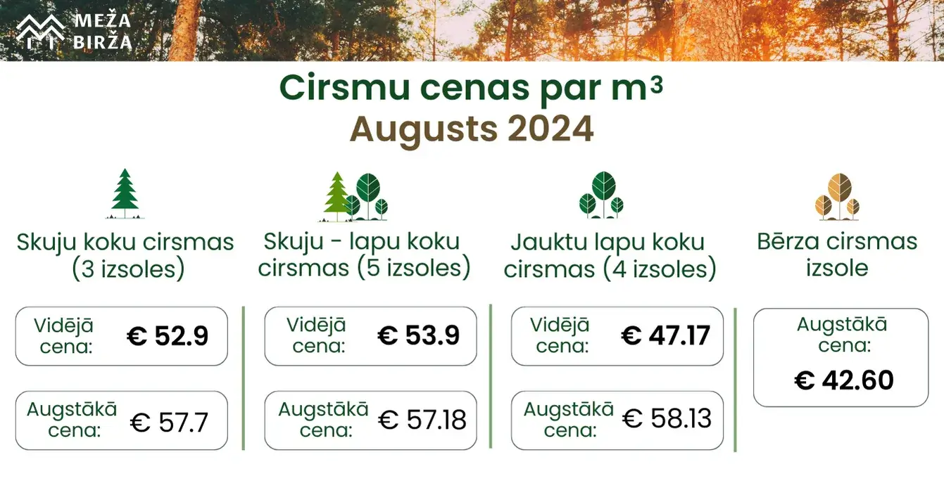 augusta cirsmu cenas meža birža