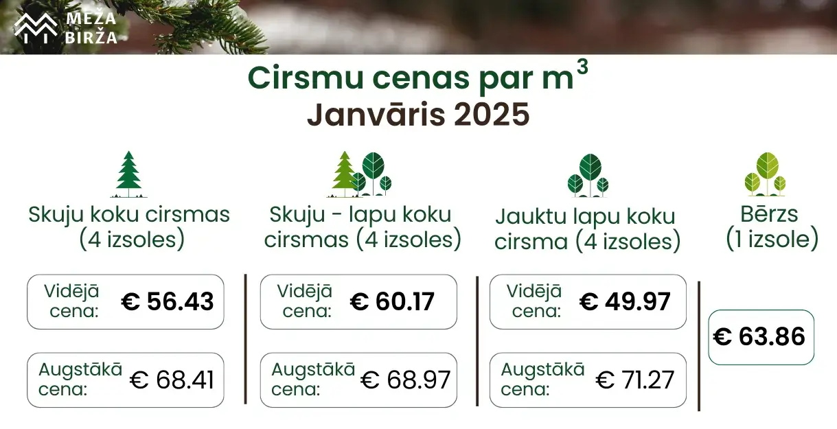 Finierklučiem cenas aug | Janvāra cirsmu cenas Meža Biržā