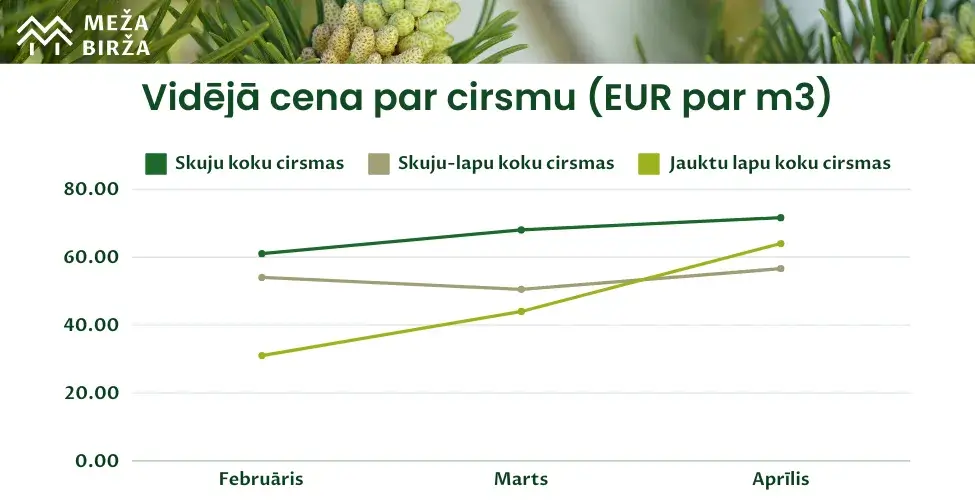 cirsmu cenas aprīlis 2024 meža birža