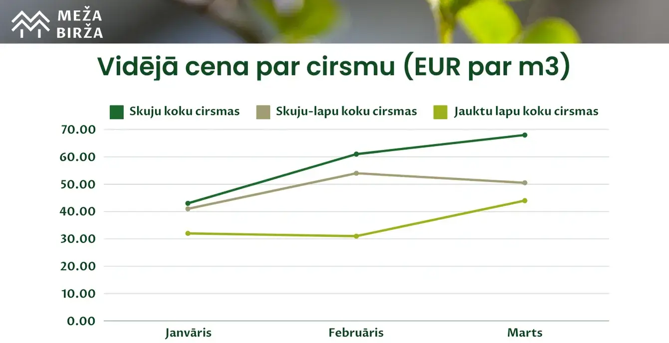 cirsmu cenas vidējā cena