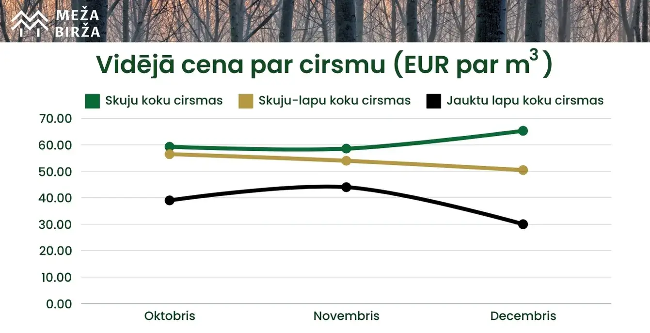 decembra cirsmu cenas 2024