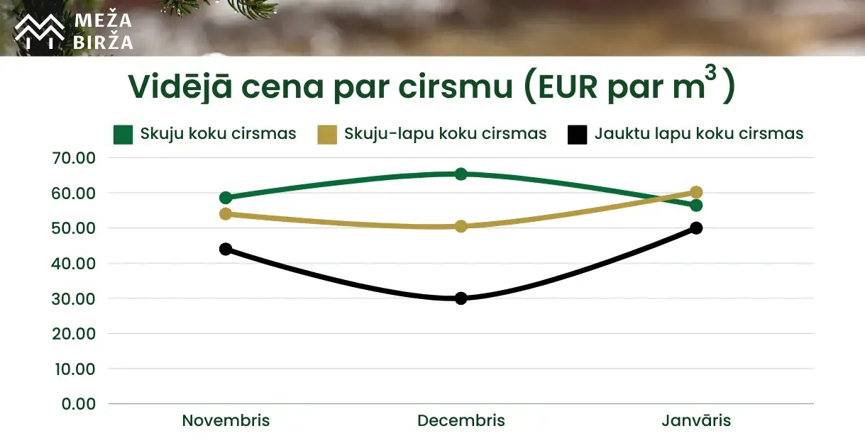 Finierklučiem cenas aug | Janvāra cirsmu cenas Meža Biržā