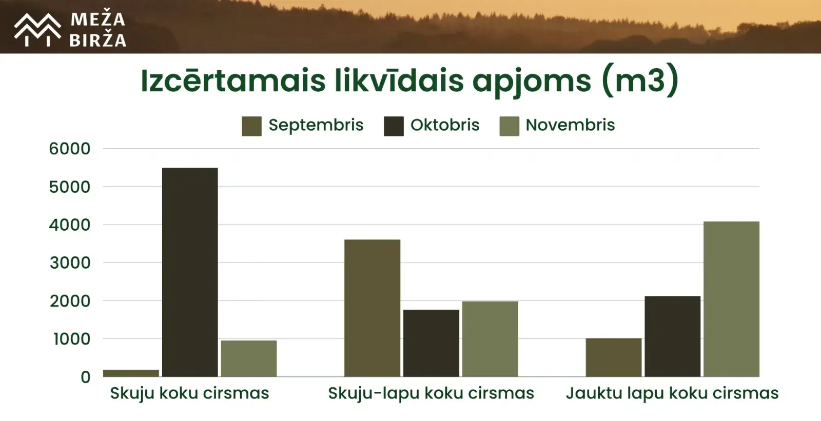 cirsmu cenas novembris 2024