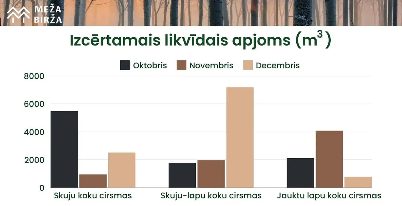 decembra cirsmu cenas 2024