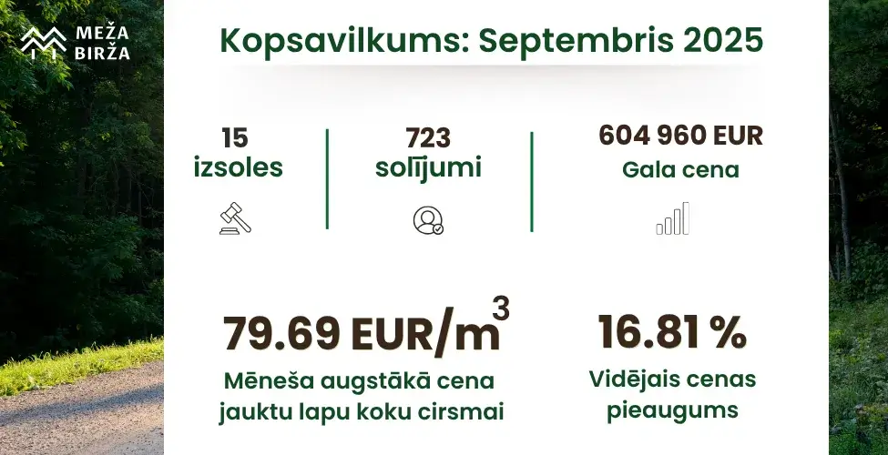Cirsmu izsoles kopsavlikums