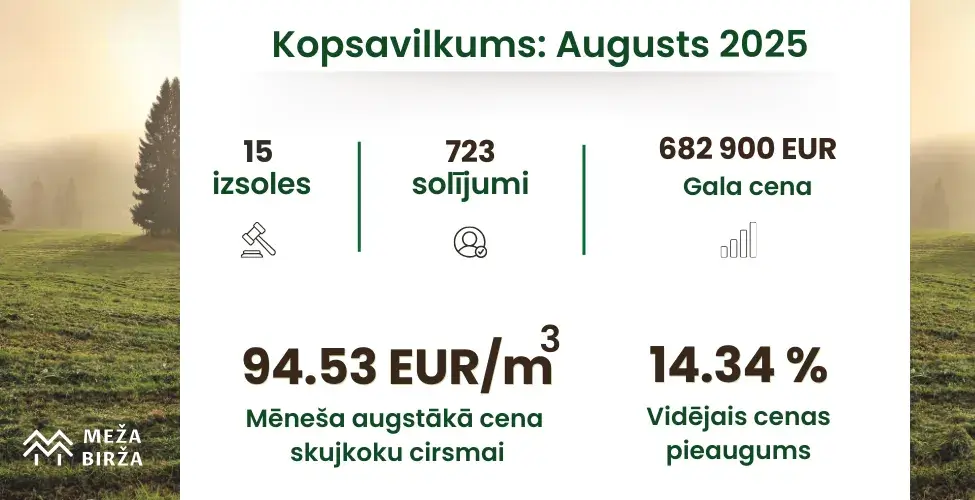 Cirsmu cenas Augusts 2025