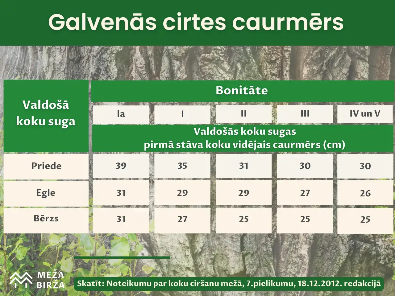 galvenās cirtes caurmērs 2024