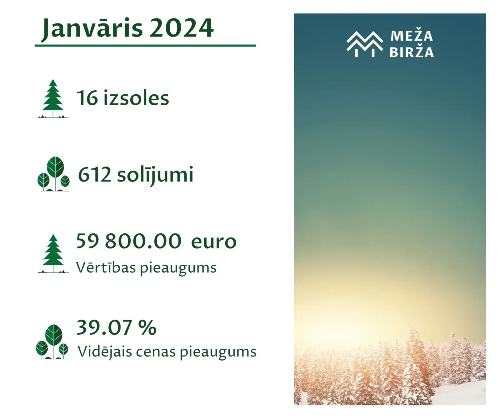 cirsmu cenas janvāris 2024 meža birža