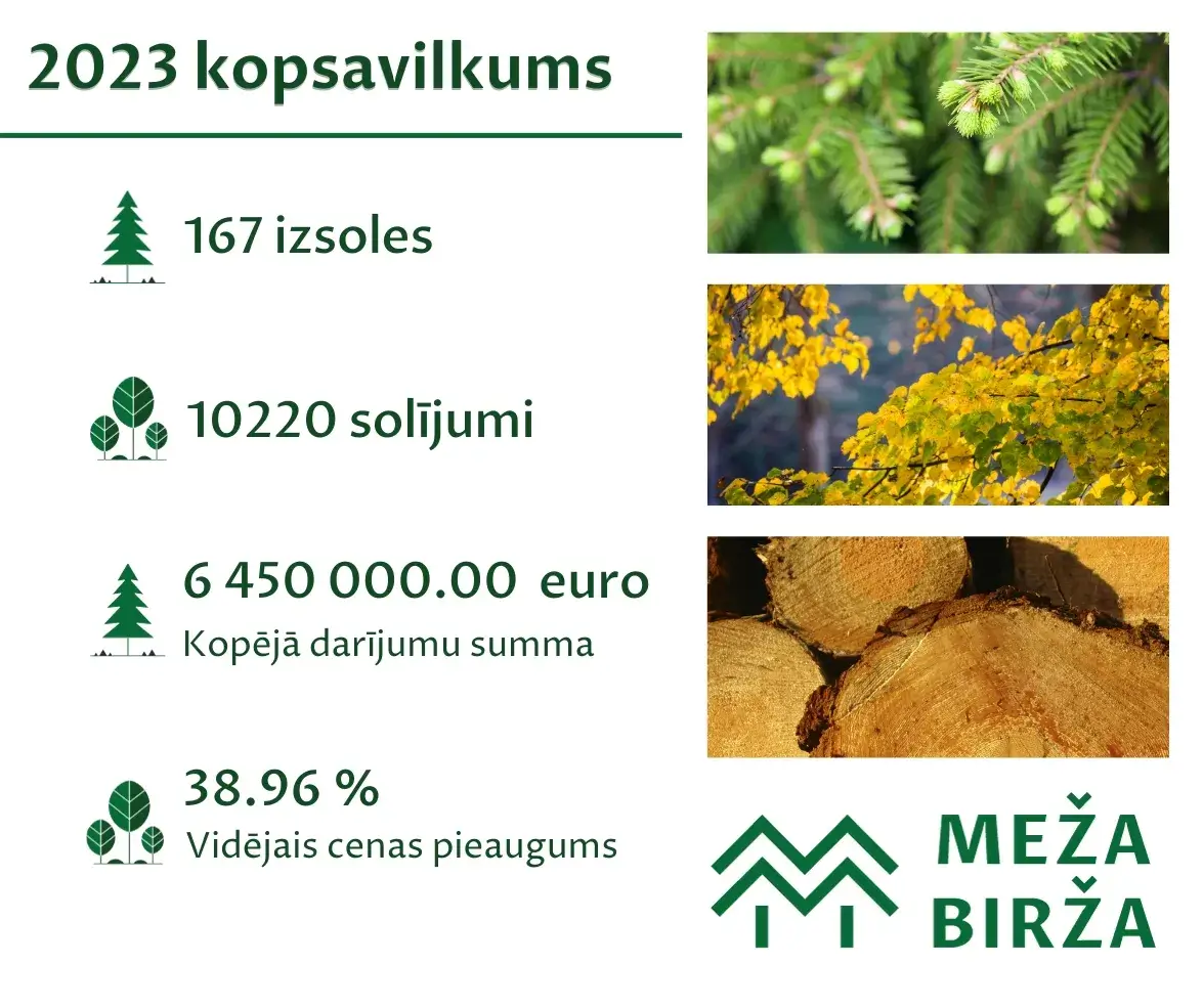 meža birža cirsmju pārdošana izsolē 2023.gads