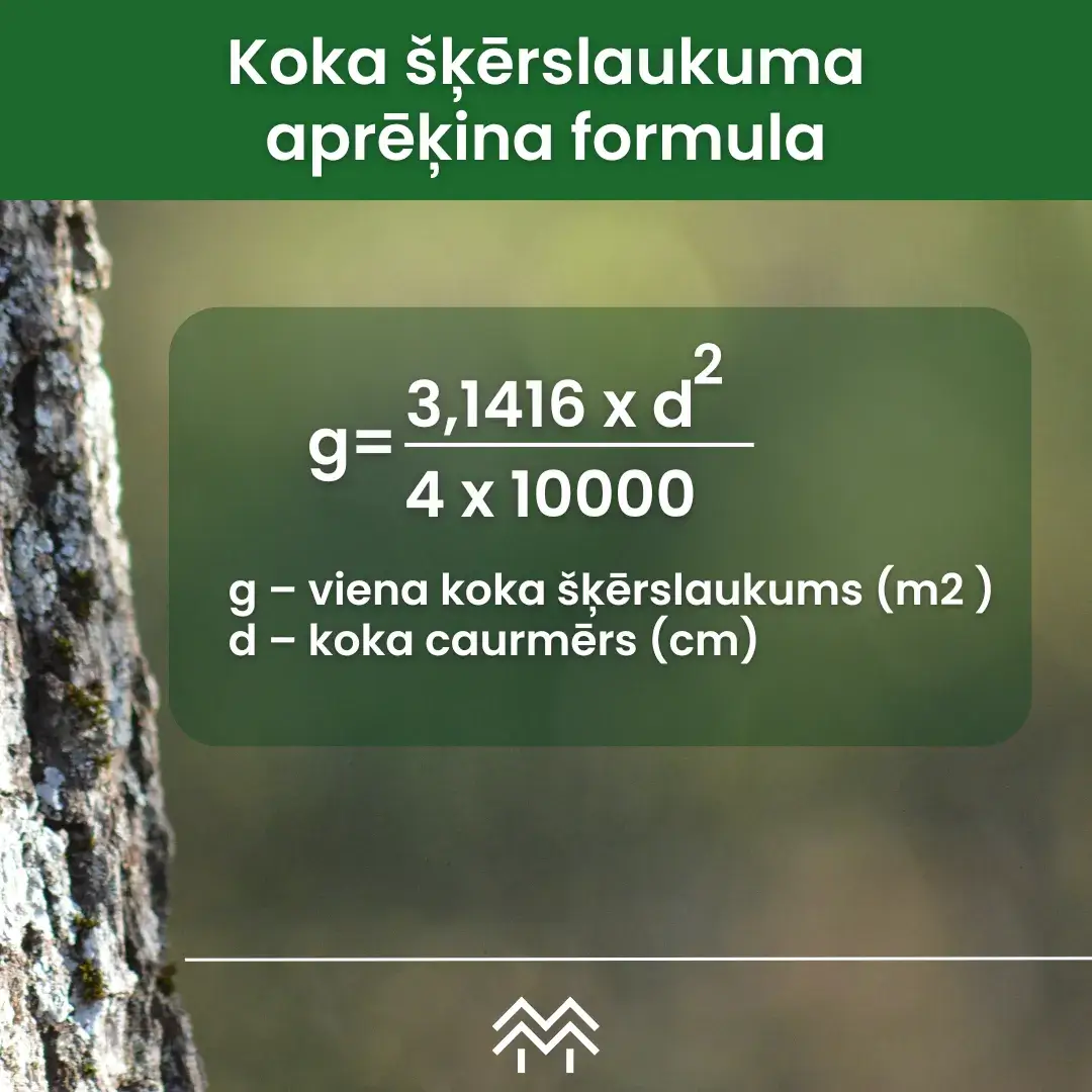 Koka šķērslaukuma aprēķina formula