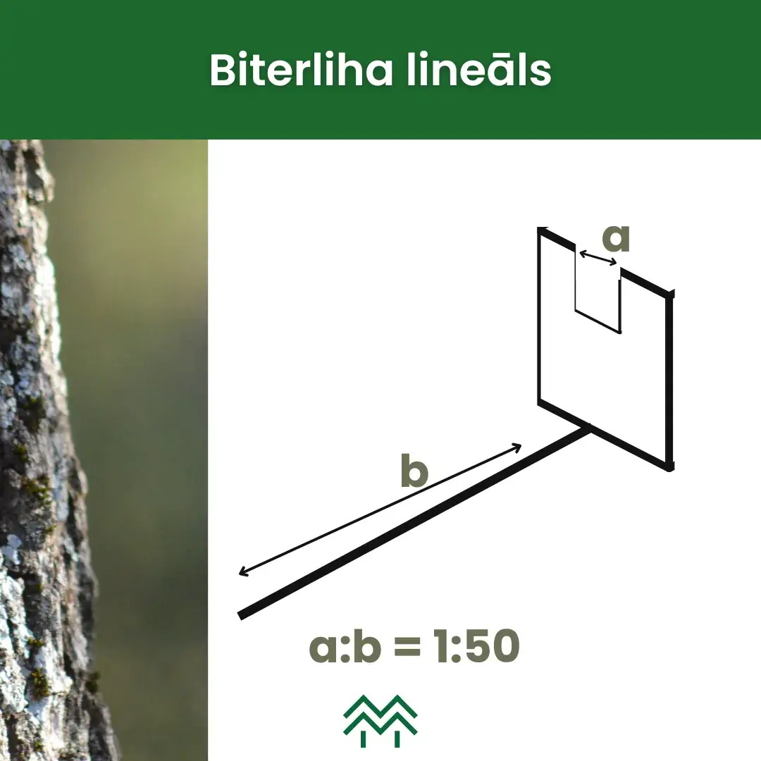 biterliha lineāls un biterliha metode