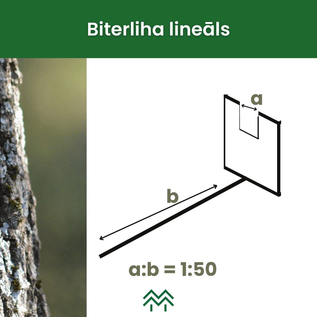 biterliha lineāls un biterliha metode