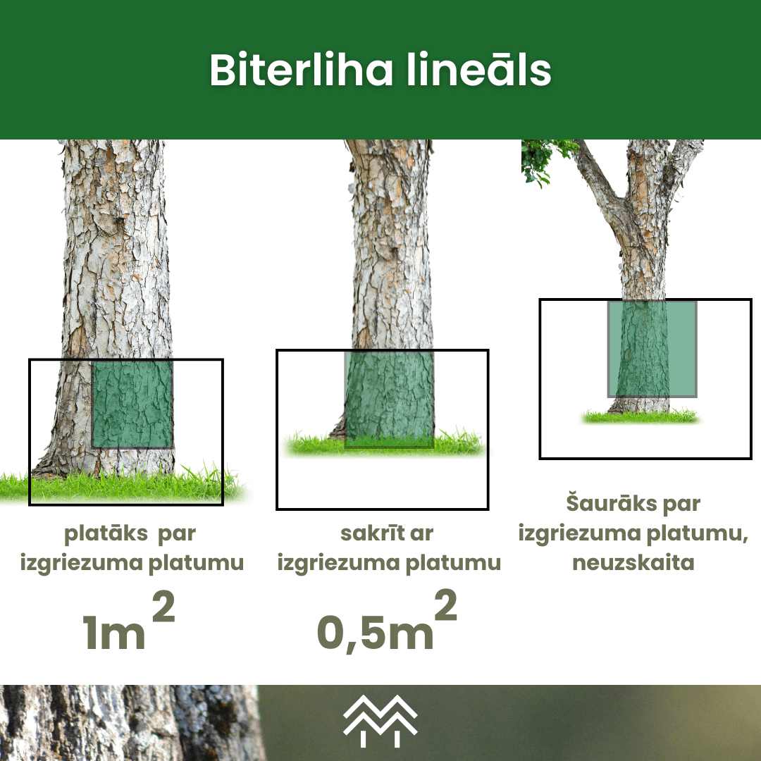 biterliha lineāls un biterliha metode