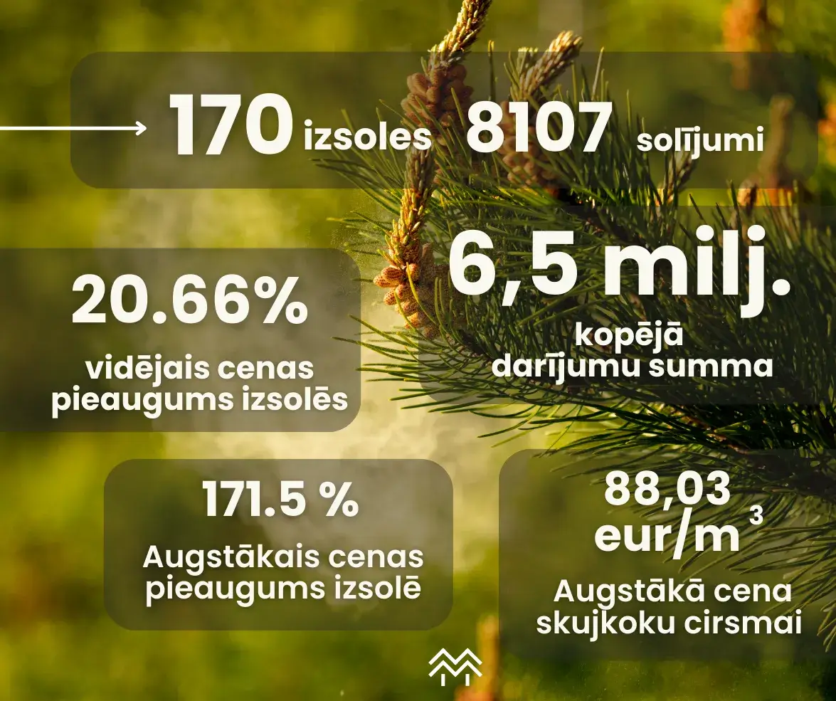 meža birža cirsmu izsoļu statistika 2024