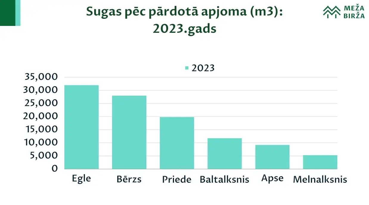 cirsmu pārdošaa izsolē 2023.gadā sugas pēc apjoma statistika