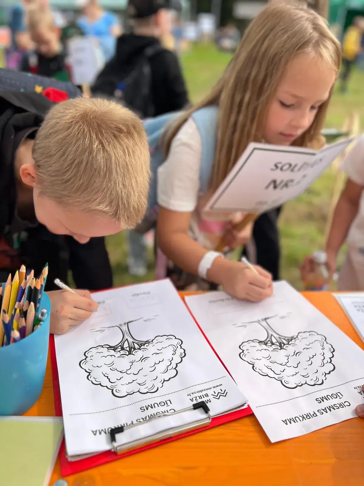 Zaļā Klase 2025 Meža Birža