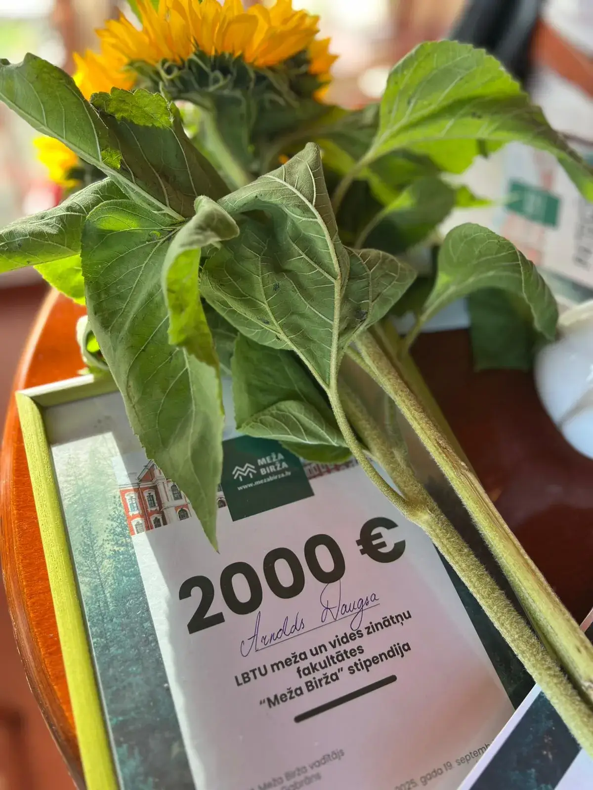 LBTU Meža Birža stipendija 2025