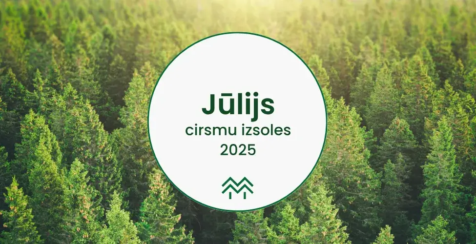 cirsmu cenas jūlijs