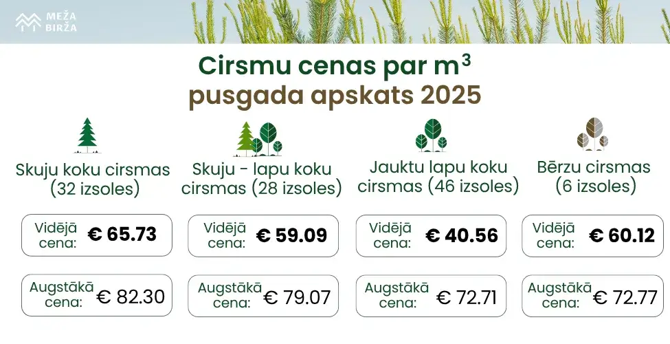 cirsmu cenas par m3