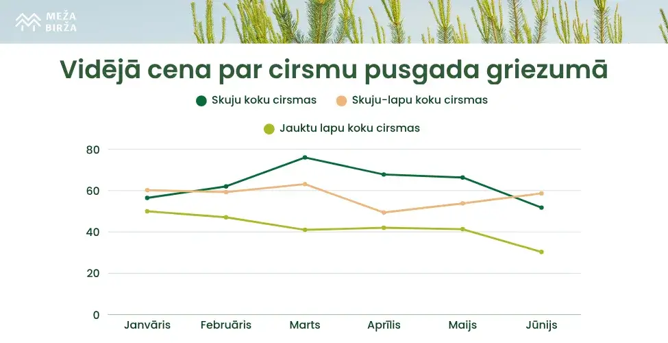 Vidējā cena par cirsmu
