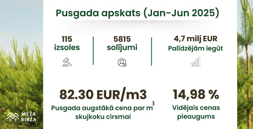 pus gada apskats cirsmu izsolēs