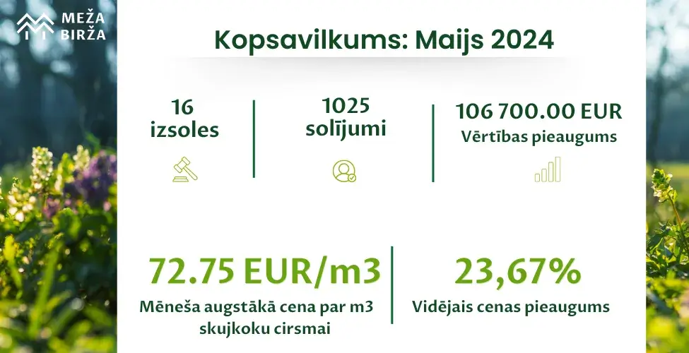 cirsmu izsoles meža birža maijs 2024 cirsmu cenas un tirgus