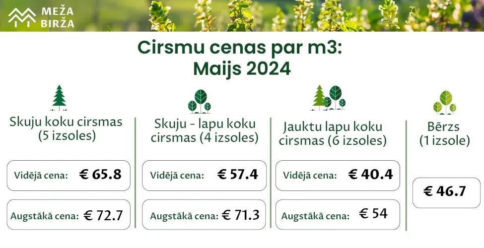 cirsmu izsoles meža birža maijs 2024 cirsmu cenas un tirgus