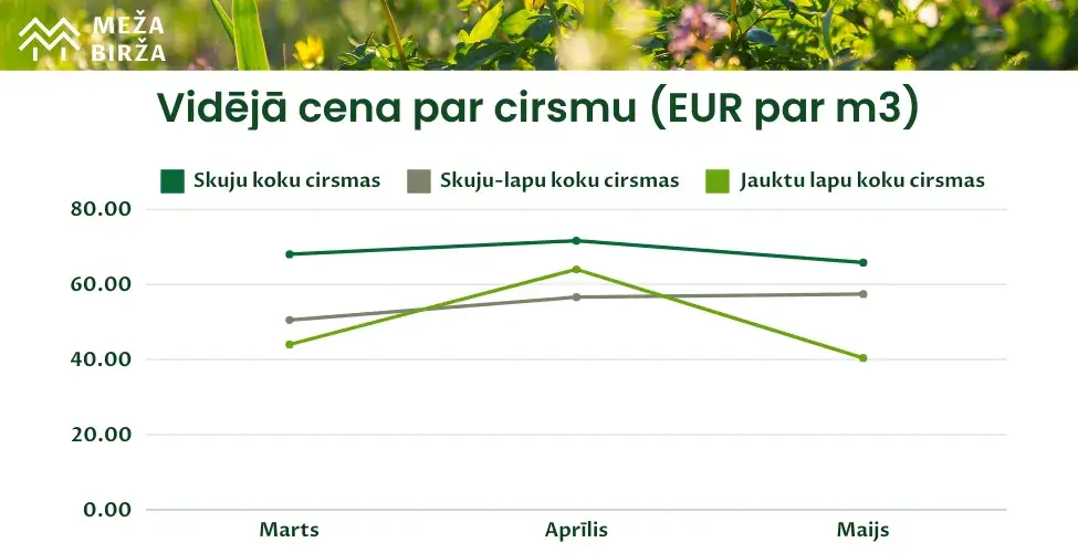 cirsmu izsoles meža birža maijs 2024 cirsmu cenas un tirgus