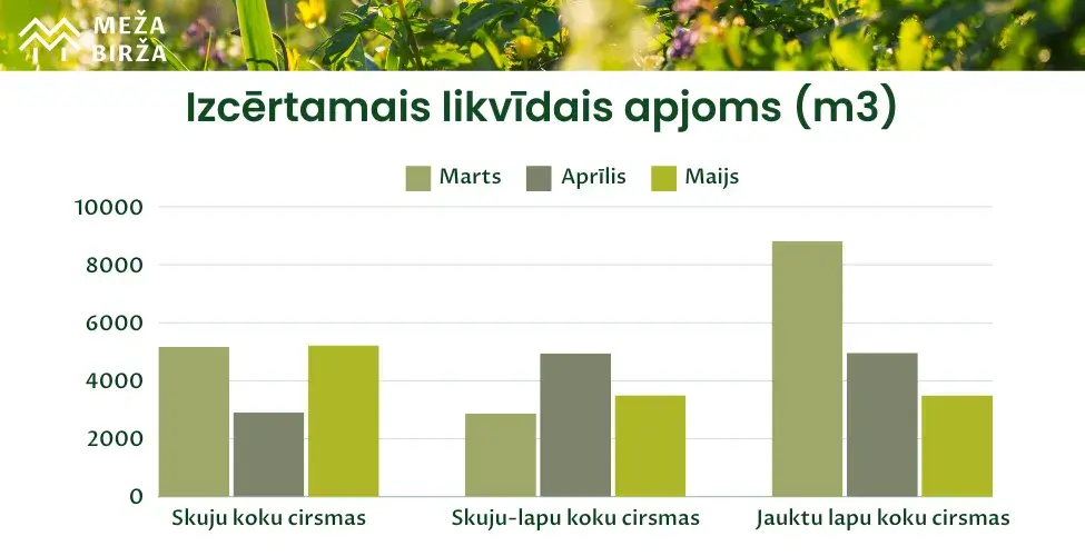 cirsmu izsoles meža birža maijs 2024 cirsmu cenas un tirgus