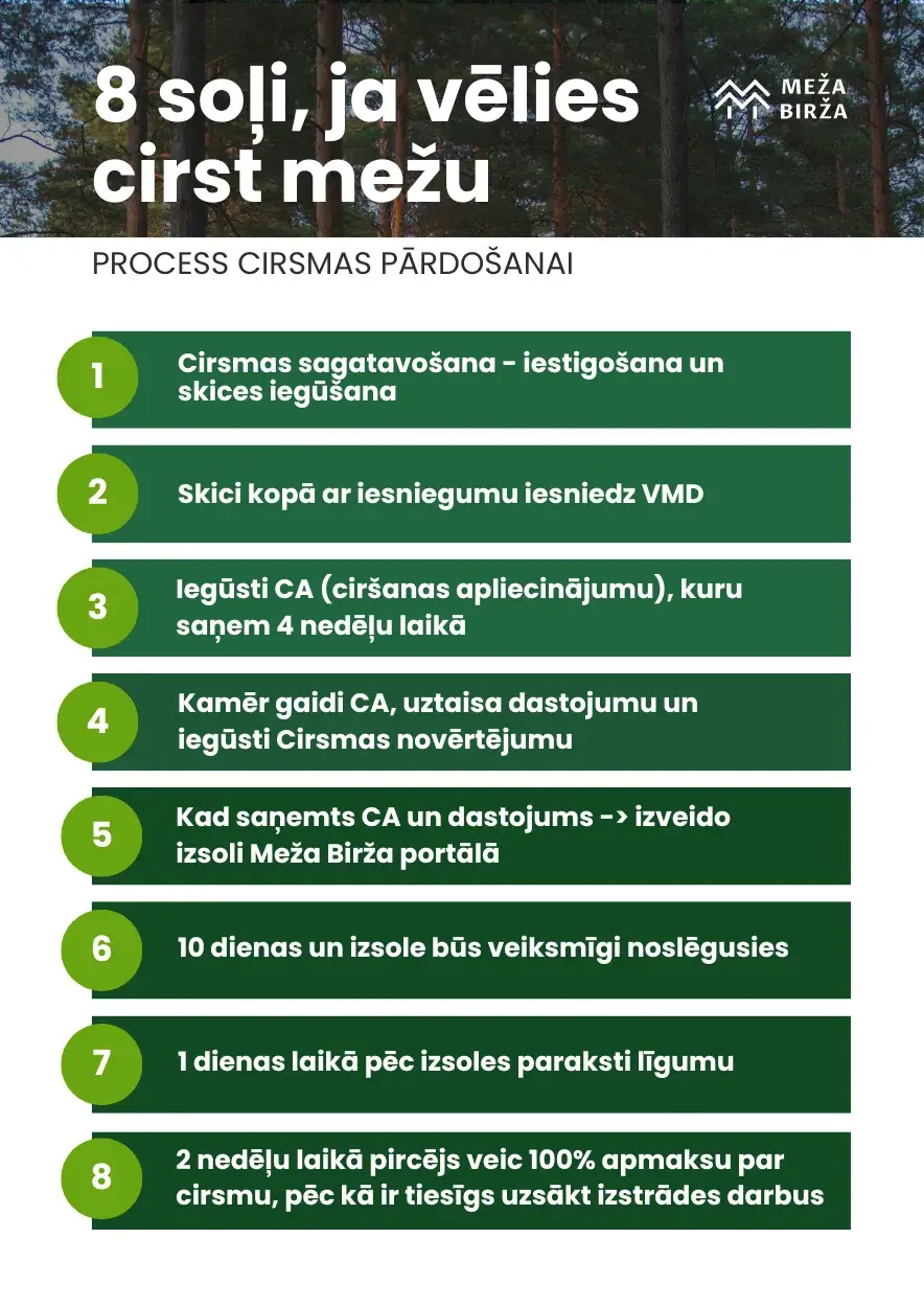 Process cirsmas pārdošanai