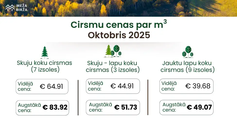 Cirsmu cenas oktobris 2025