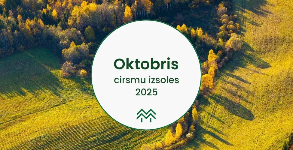 Cirsmu cenas un izsoles Oktobris