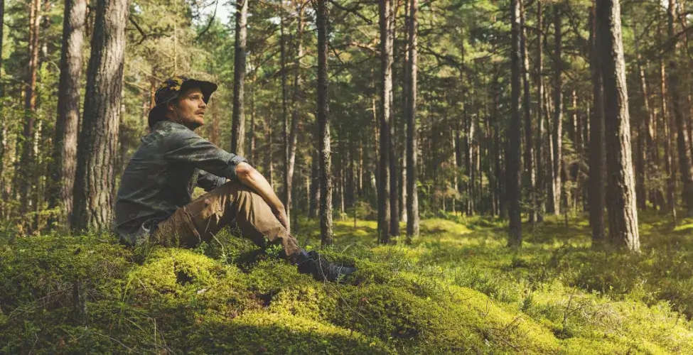 Meža apsaimiekošana