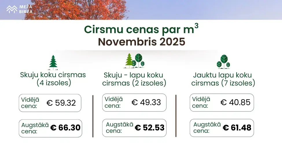Cirsmu cenas novembris
