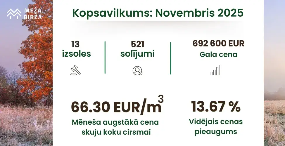 Cirsmu cenas un cirsmu izsoles novembris kopsavilkums