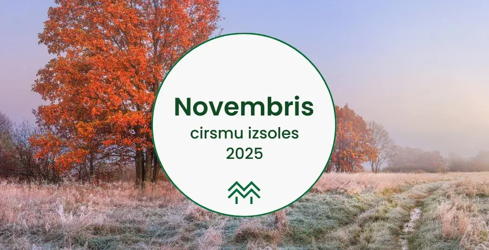 Cirsmu izsoles un cenas novembris