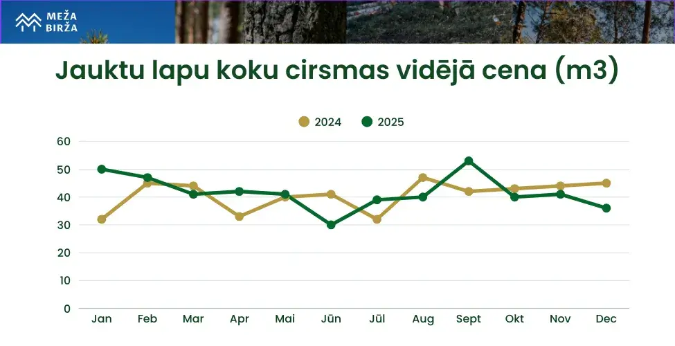 Jauktu lapu koku cirsmas vidējā cena 2025