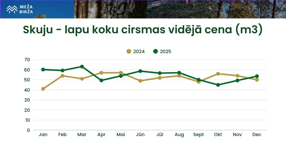 Skuju lapu koku cirsmas vidējā cena 2025
