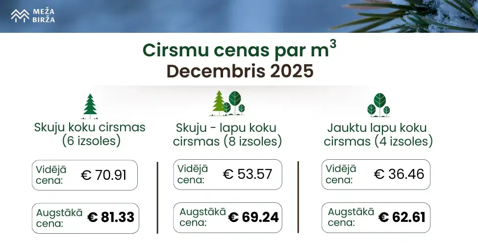 Cirsmu cenas m3 Decembris