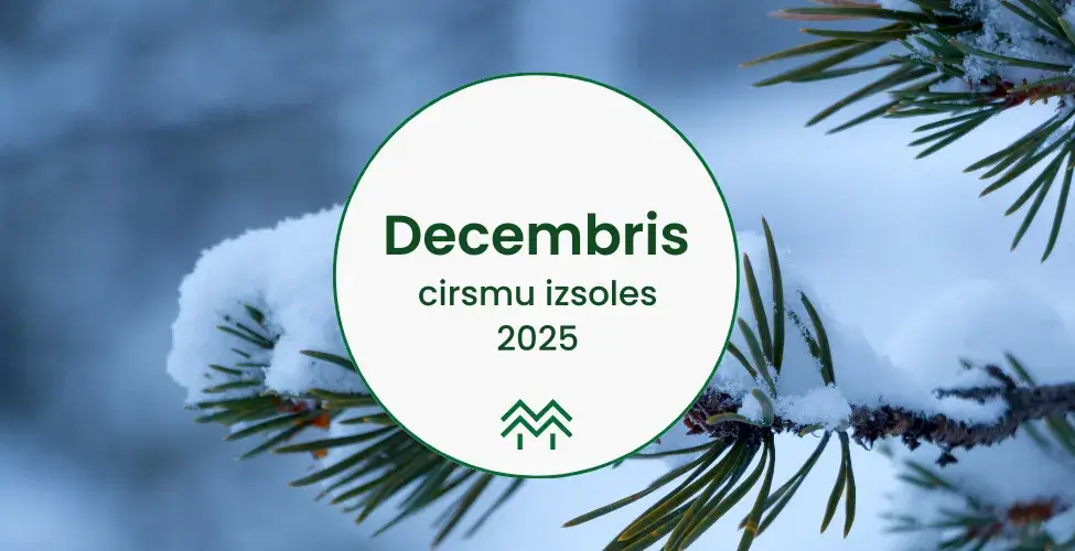 Cirsmu izsoles un cirsmu cenas Decembrī