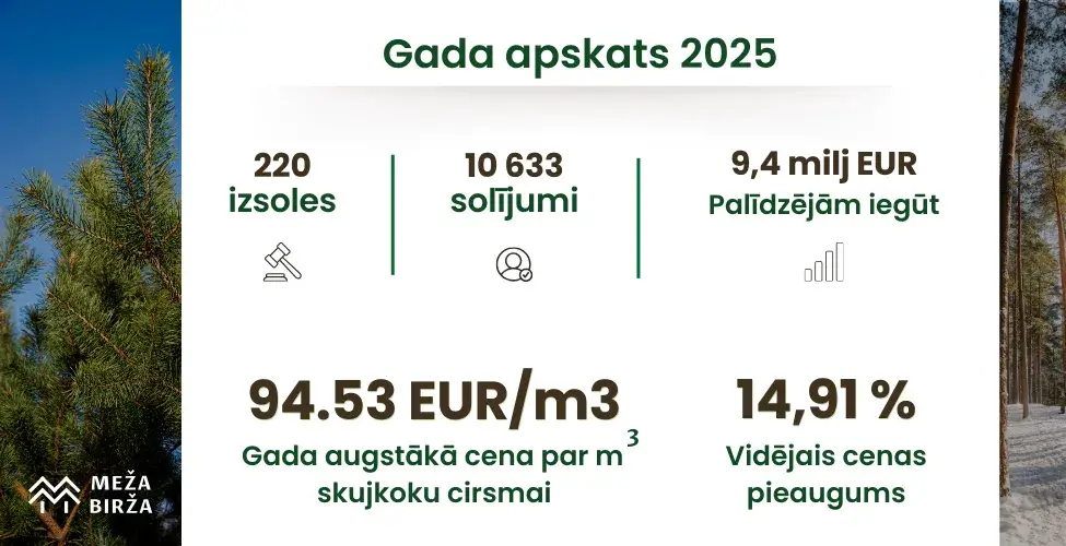 Cirsmu un meža izsoles gada apskats 2025