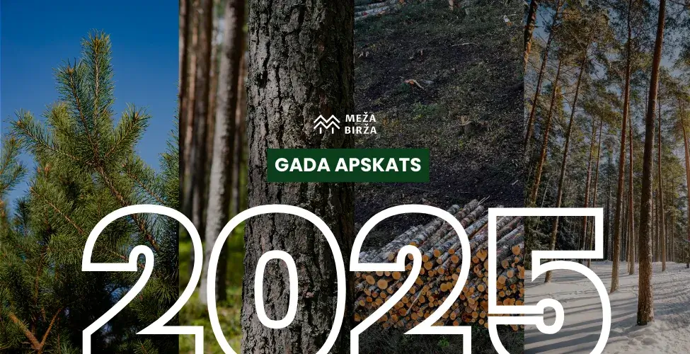 Gada apskats meža nozarē 2025